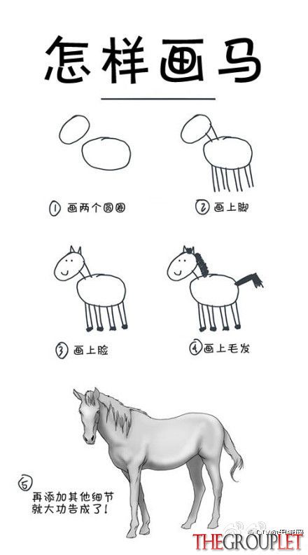 horse.jpg