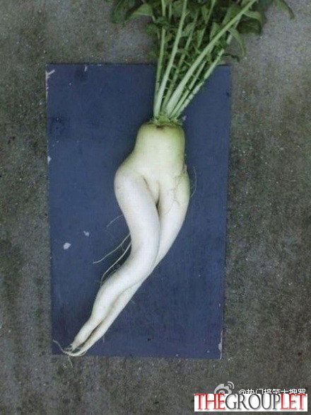 好销魂的萝卜啊.jpg