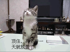 热温热.gif