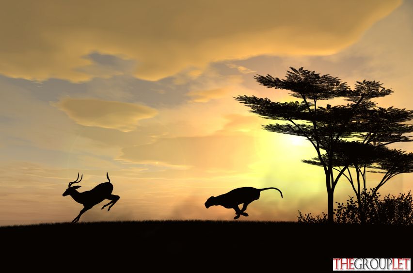 iStock_000001654001Small.jpg