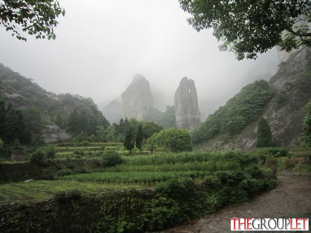 IMG_1710.JPG