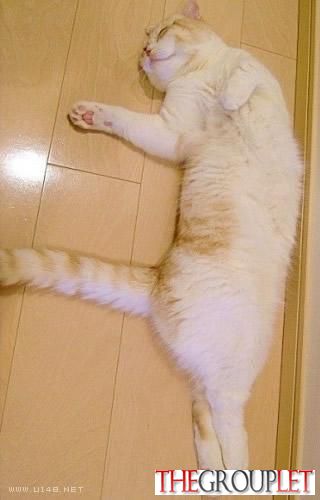 性感睡姿16式 惹人怜3.jpg