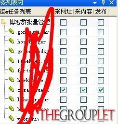 PBN站群管理
