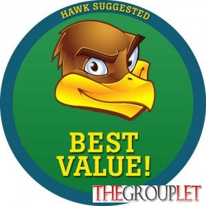 Hawk-Best-Value-300x300.jpg